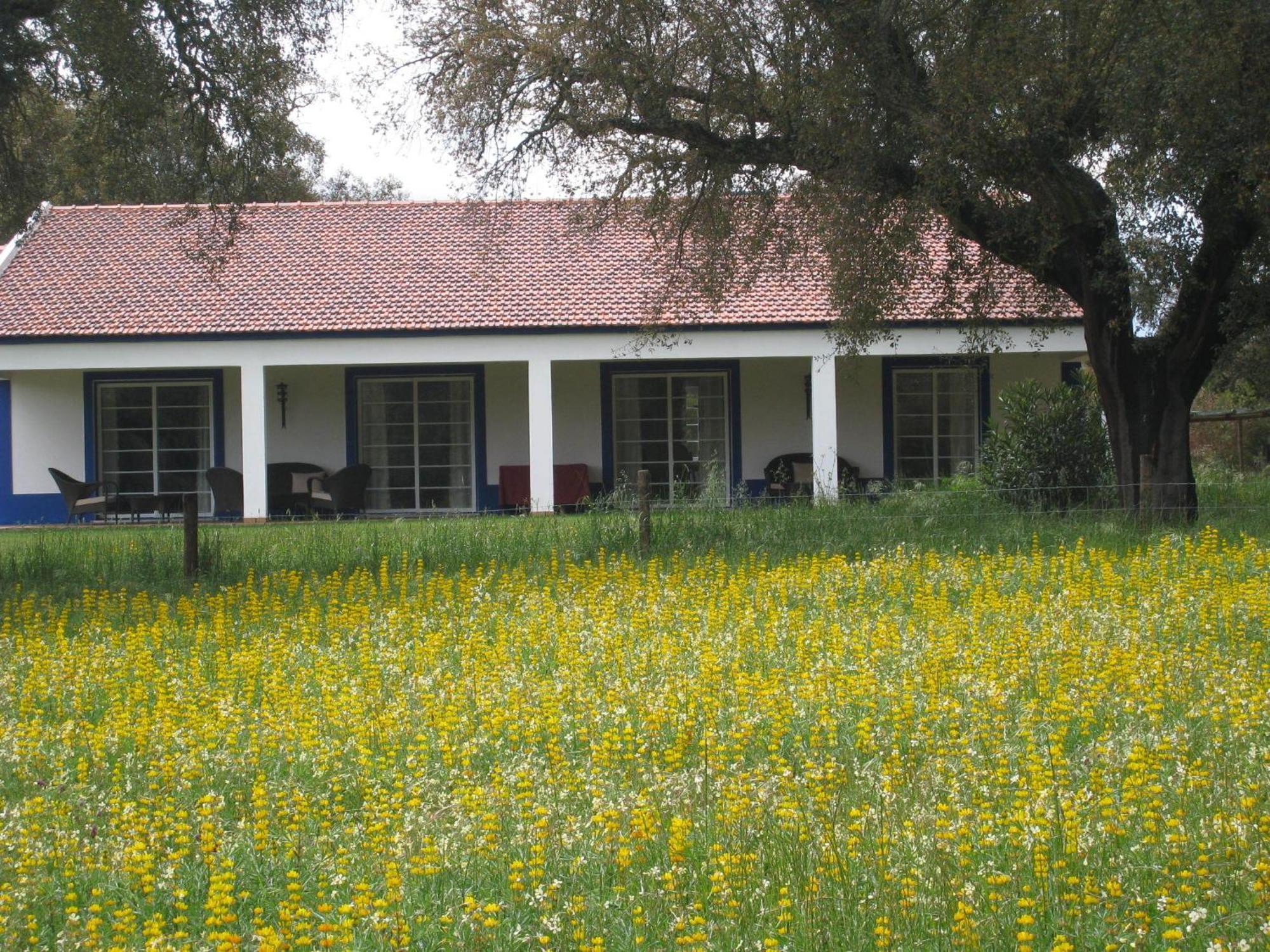 Monte Das Faias Cork Farm Hotel Grândola Eksteriør bilde