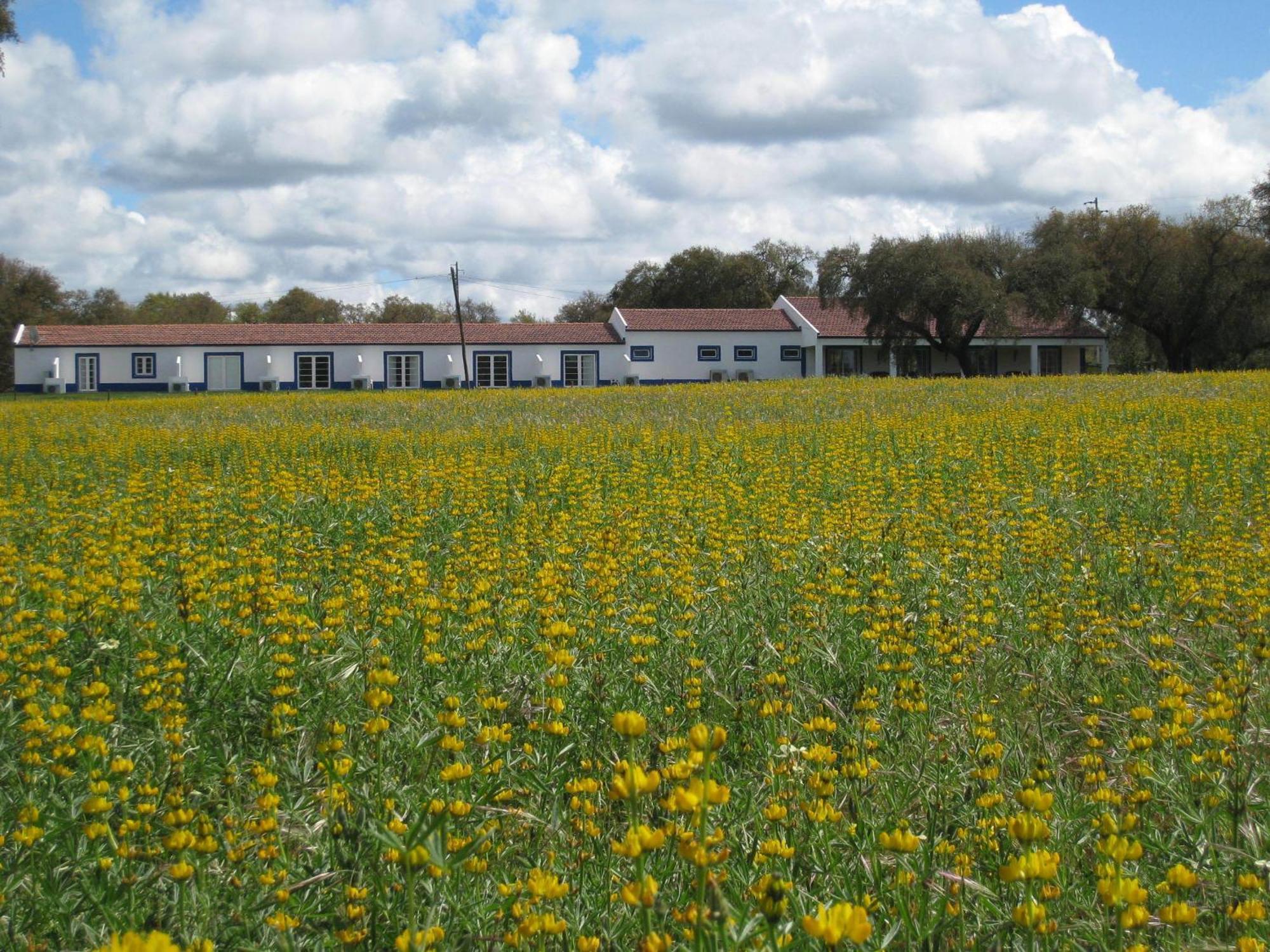 Monte Das Faias Cork Farm Hotel Grândola Eksteriør bilde